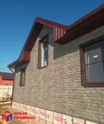 ПАНЕЛЬ ФАГОТ, ЦВЕТ РАМЕНСКИЙ — изображение 8